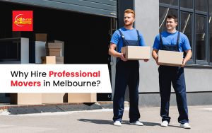 packing and moving services