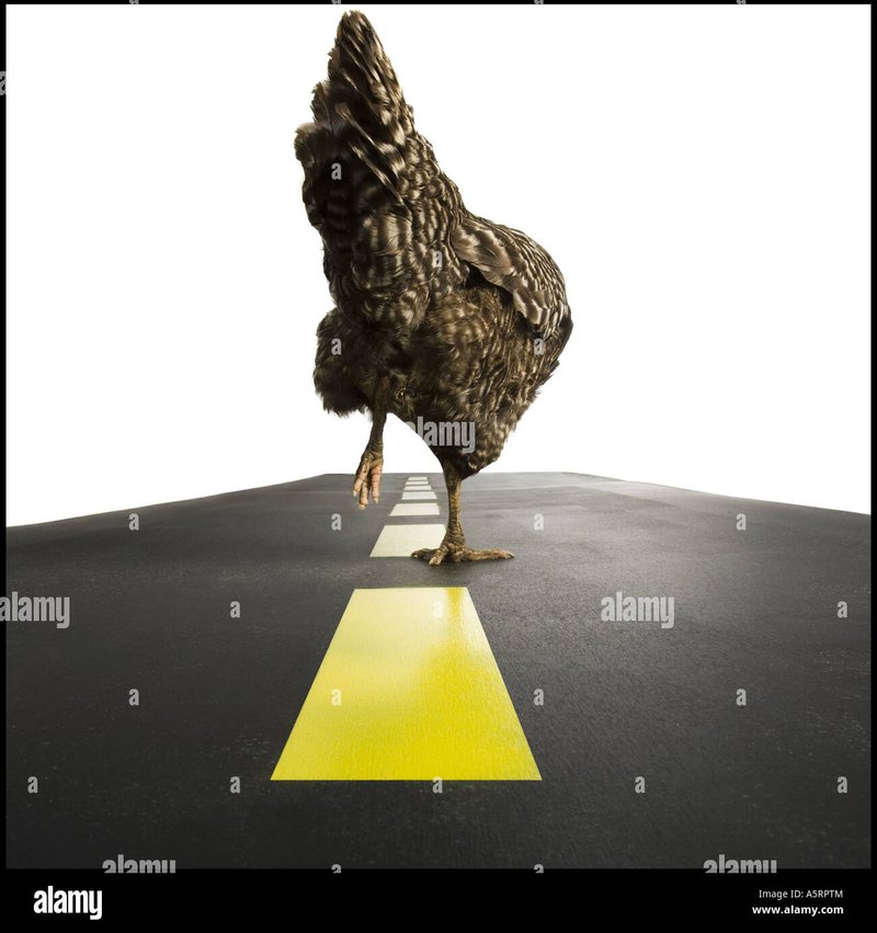 Chicken road joc - Jocul de Noroc Avem Față cu Chicken Road la Casino